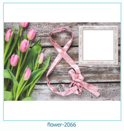 cadre photo fleur 2066