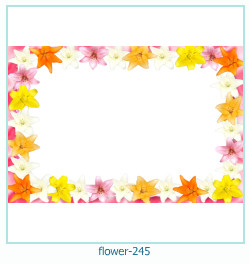 cadre photo fleur 245
