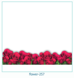 cadre photo fleur 257