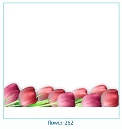 cadre photo fleur 262