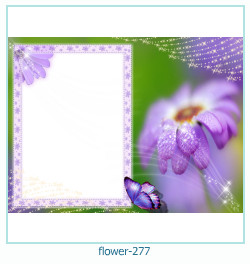 cadre photo fleur 277