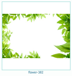 cadre photo fleur 382