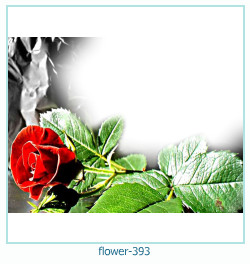 cadre photo fleur 393