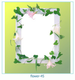 cadre photo fleur 45