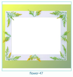 cadre photo fleur 47