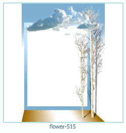 cadre photo fleur 515