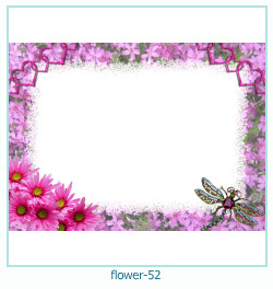 cadre photo fleur 52