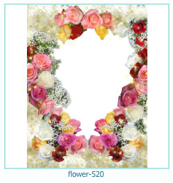 cadre photo fleur 520