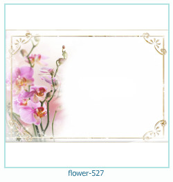 cadre photo fleur 527