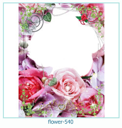 cadre photo fleur 540