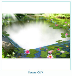 cadre photo fleur 577