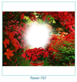 cadre photo fleur 767