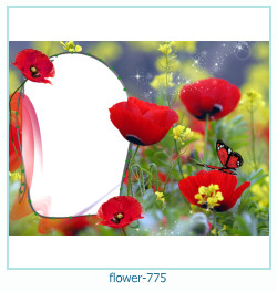 cadre photo fleur 775