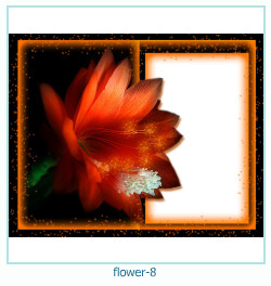 cadre photo de l'année de la fleur 8