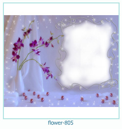 cadre photo fleur 805