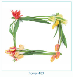 cadre photo fleur 103