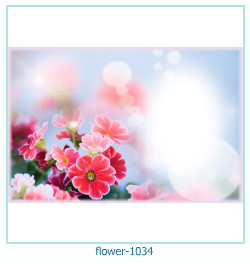 cadre photo fleur 1034