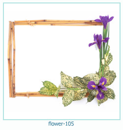 cadre photo fleur 105