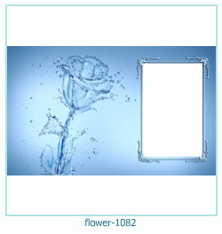 cadre photo fleur 1082