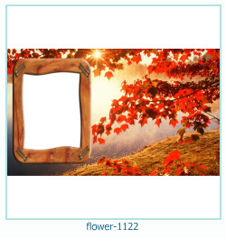 cadre photo fleur 1122