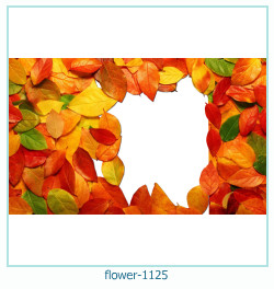 cadre photo fleur 1125