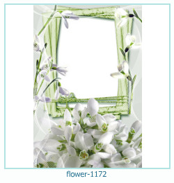 cadre photo fleur 1172