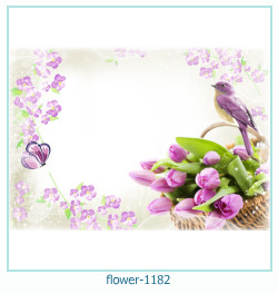 cadre photo fleur 1182
