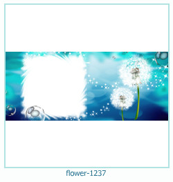 cadre photo fleur 1237