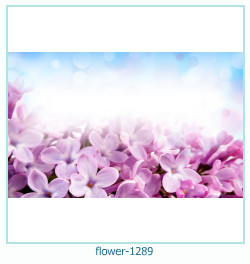 cadre photo fleur 1289