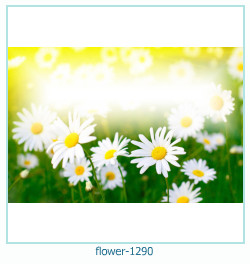 cadre photo fleur 1290