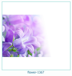 cadre photo fleur 1367