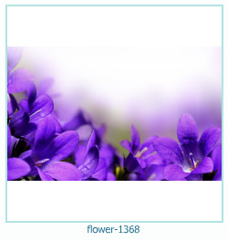 cadre photo fleur 1368