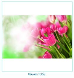 cadre photo fleur 1369