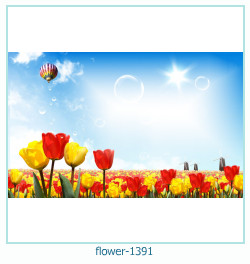 cadre photo fleur 1391
