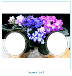 cadre photo fleur 1471