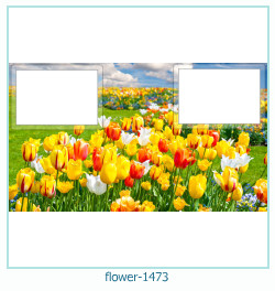 cadre photo fleur 1473
