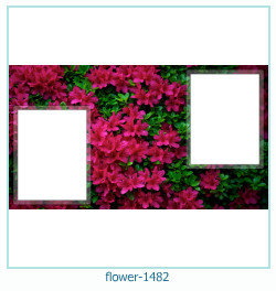 cadre photo fleur 1482