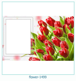cadre photo fleur 1499