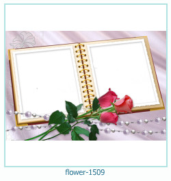 cadre photo fleur 1509