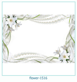 cadre photo fleur 1516