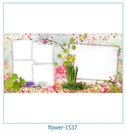 cadre photo fleur 1537