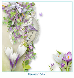 cadre photo fleur 1547