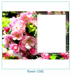 cadre photo fleur 1560