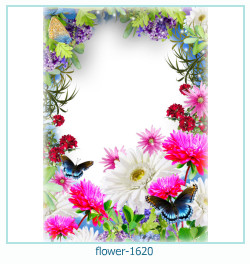cadre photo fleur 1620