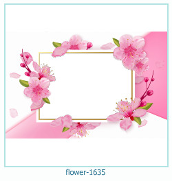 cadre photo fleur 1635