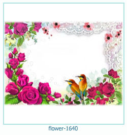 cadre photo fleur 1640