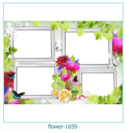 cadre photo fleur 1659