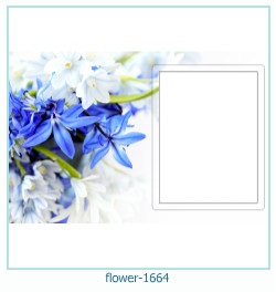 cadre photo fleur 1664