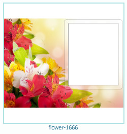 cadre photo fleur 1666
