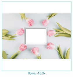 cadre photo fleur 1676
